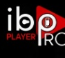 IBO Pro